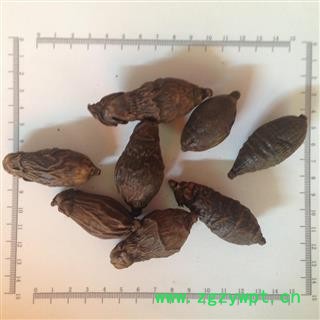 诺源药材行槟榔 枣槟榔  优质工艺品原料图2