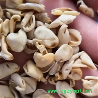 诺源药材行扁豆衣 统货 云南图3