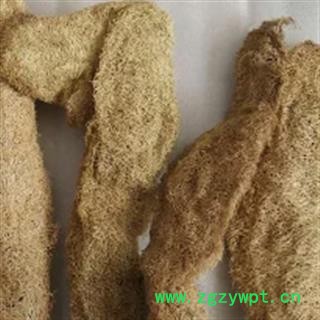 安祁名药丝瓜络图2