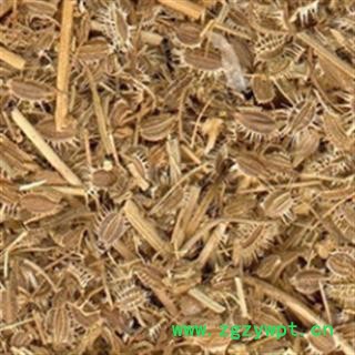 安祁名药鹤虱图2