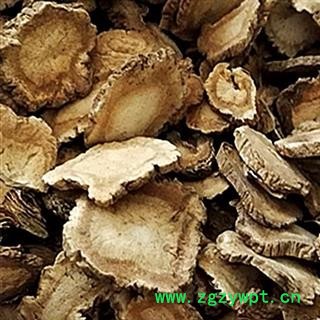 小丽百草行中药材白芷 祁白芷图2