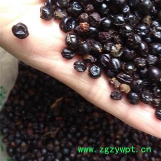 小丽百草行射干种子今年新货嫩子少发芽率85%以上质量有保障图2