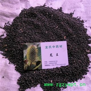 王不留行 统货 产地 四川省成都市双流县图3