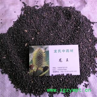 王不留行 统货 产地 四川省成都市双流县图4