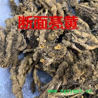 黄连个 鸡爪黄连中等统货 产地 四川省图2