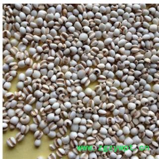 薏苡仁 贵州大粒薏米仁图2