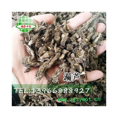 漏芦 狼头花 野兰 鬼油麻 和尚头 独花山牛蒡 华州漏芦  产地 黑龙江省 娟子中药  正品包化验 批发 零售