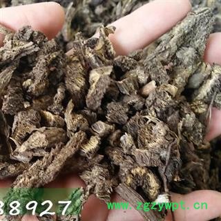 漏芦 狼头花 野兰 鬼油麻 和尚头 独花山牛蒡 华州漏芦  产地 黑龙江省 娟子中药  正品包化验 批发 零售图2