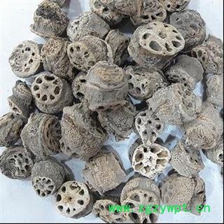 藕节 藕节 选 产地 湖南省 批发零售各种规格中药材 花茶 代加工超细粉 娟子中药图2