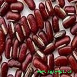 煜庭药业 赤小豆 药用图2