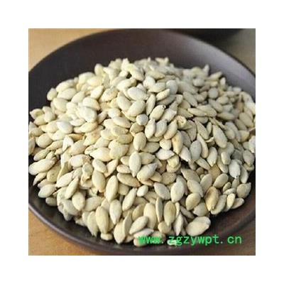 煜庭药业 冬瓜子