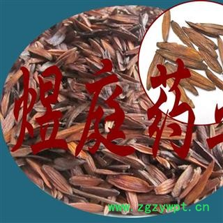 煜庭药业 喜树果 千丈树、水栗子、天梓树图4