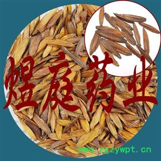 煜庭药业 喜树果 千丈树、水栗子、天梓树图3