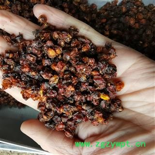 瑞森药材行沙棘 沙棘果手工挑选今年新货7天无理由退货图3