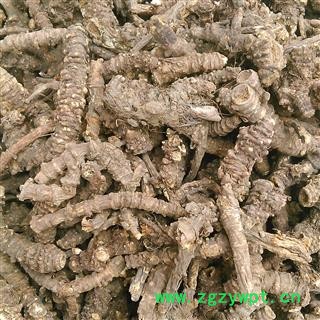 羌活个 羌活选个 产地 四川省图2