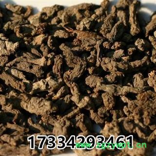 天葵子 紫背天葵子 天葵根地丁子中药材图3