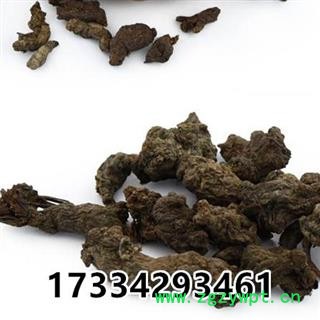 天葵子 紫背天葵子 天葵根地丁子中药材图4