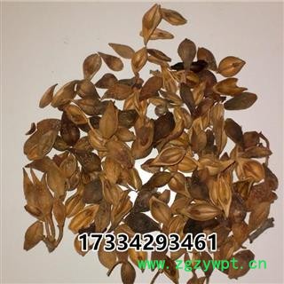 连翘 青连翘 黄连翘 落翘 连壳 中药材供应图4