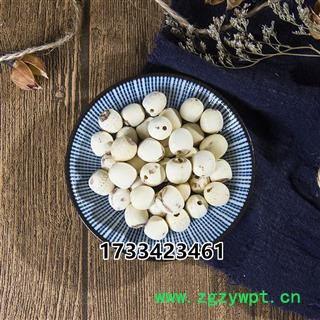 白莲子 中药材白莲子 寸三莲 无芯白莲子图3
