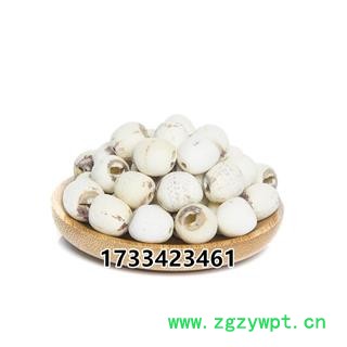 白莲子 中药材白莲子 寸三莲 无芯白莲子图4