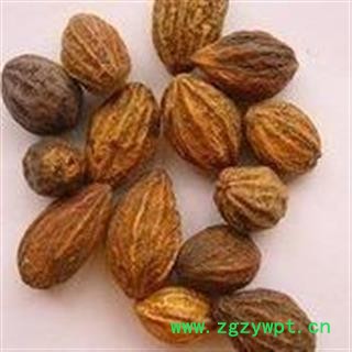 瑞森药材行诃子 柯子 金柯子 大金果 随风子图2