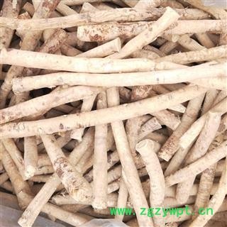 黄芪条个 黄芪选拔条 产地 甘肃省天水市图3