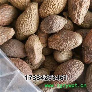 胖大海 胖大海圆粒统货 青色果 今年新货 干度好 可直接泡茶图3