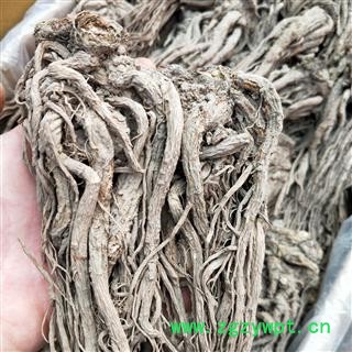 当归个 全当归大条 产地 甘肃省图2