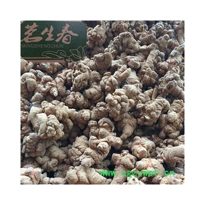 三七 三七120头 产地 云南省 茗生春药材总公司 一手货源 7天无理由退换