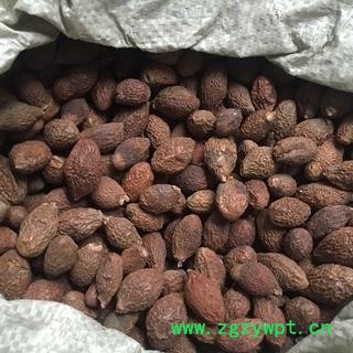 诺源药材行胖大海圆粒选货  优质圆果图2