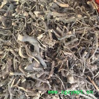 诺源药材行野生三月泡 茅莓根 蛇泡筋图2