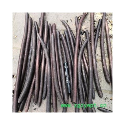 诺源药材行便秘果 波斯皂角 缅甸大解