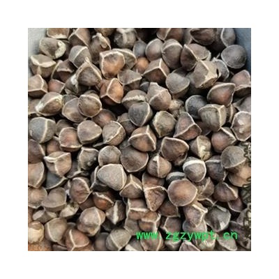 诺源药材行花茶辣木籽叶 辣木籽