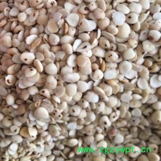 诺源药材行中药材杏仁 苦杏仁 甜杏仁 另有桃仁图2