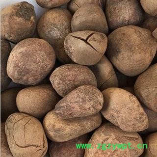 诺源药材行中药材广西大风子  大枫子仁图2