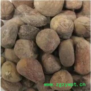 诺源药材行中药材广西大风子  大枫子仁图3