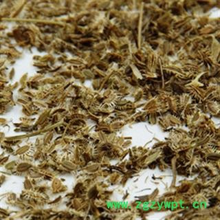 安祁名药鹤虱 北鹤虱图2