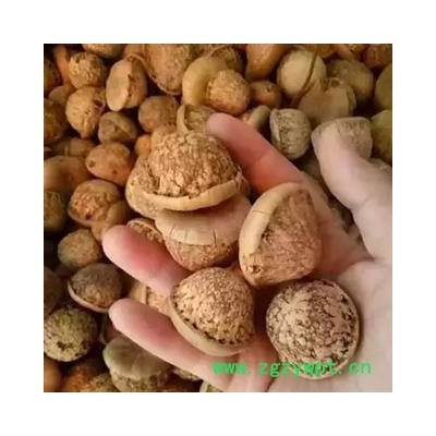 安祁名药优质风流果 壮阳果 另有统货价廉