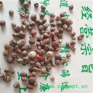 安祁名药正品砂仁  进口壳砂仁图3