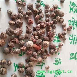 安祁名药正品砂仁  进口壳砂仁图2