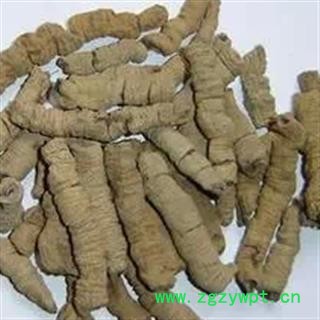 小丽百草行巴戟肉  巴戟天 去芯产地供应量大从优图2