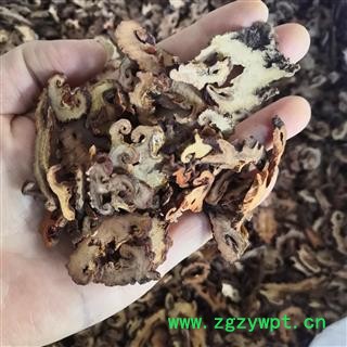 安祁名药木瓜 皱木瓜  光木瓜图2