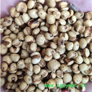 安祁名药薏苡仁 薏米 熟薏苡仁图2