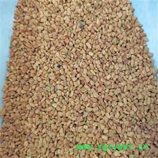 安祁名药葫芦巴  芦巴子图2