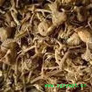 冷背中药材 珠儿参 钮子七 扣子七图3