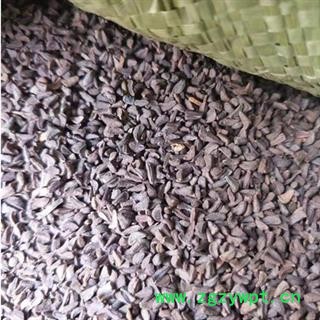 安祁名药中药材骆驼蓬子  新疆骆驼蓬子图2