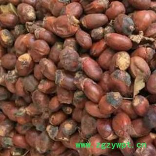 安祁名药正品荔枝核 另有木瓜籽 桂圆核图3