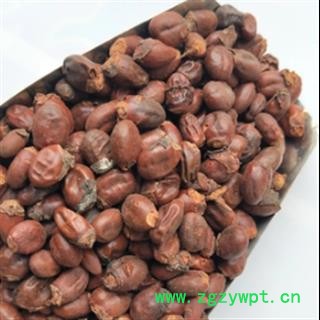 安祁名药正品荔枝核 另有木瓜籽 桂圆核图2