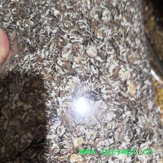 安祁名药药食同源黑燕麦 优质黑燕麦图3