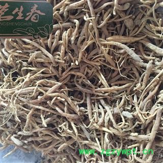 太子参 大统 产地 贵州省遵义市绥阳县 茗生春药业 一手货源  7天无理由退换图3